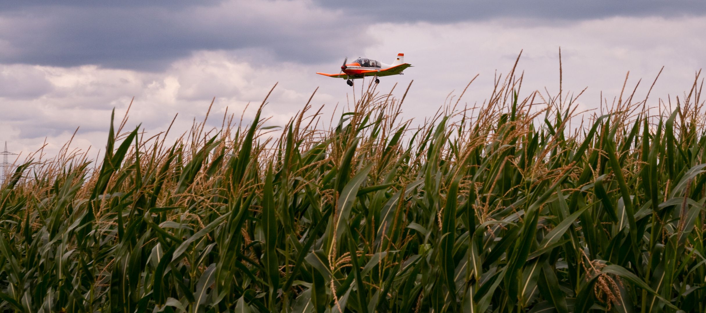 Maisflug