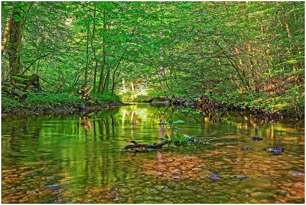 Maisinger Schlucht II