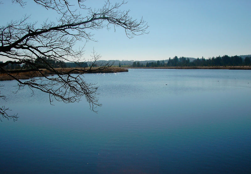 Maisinger See