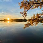 Maisinger See - Sonnenuntergang im Herbst