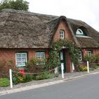 Maison au toit de chaume sur l'île PELLWORM ALLEMAGNE