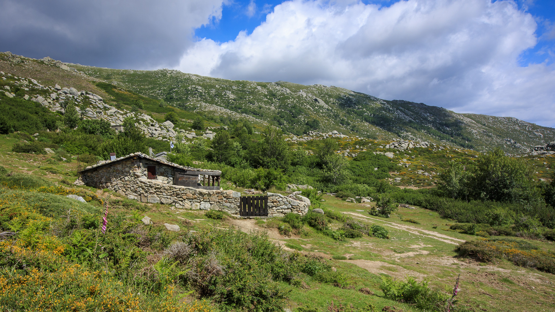 Maison de berger - Corse 2018