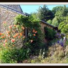 maison en pierres