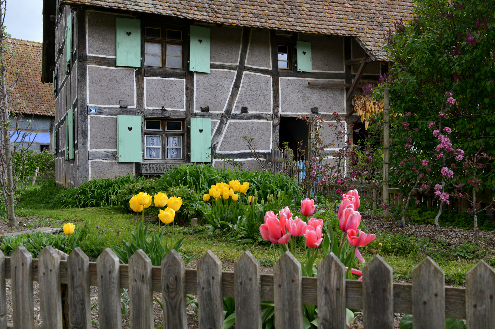 Maison fleurie