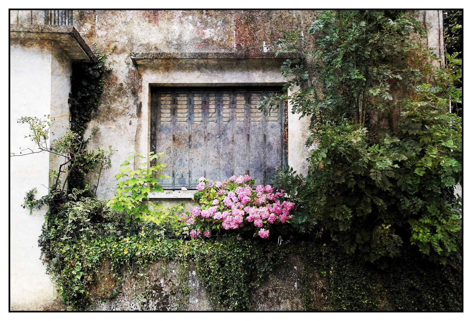 maisons abandonnées ...