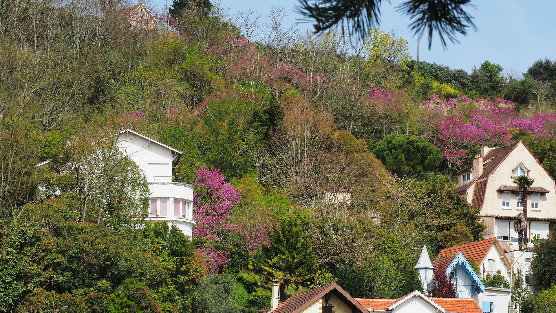 Maisons de la colline de l‘Hermitage  -  Agen