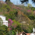 Maisons de la colline de l‘Hermitage  -  Agen