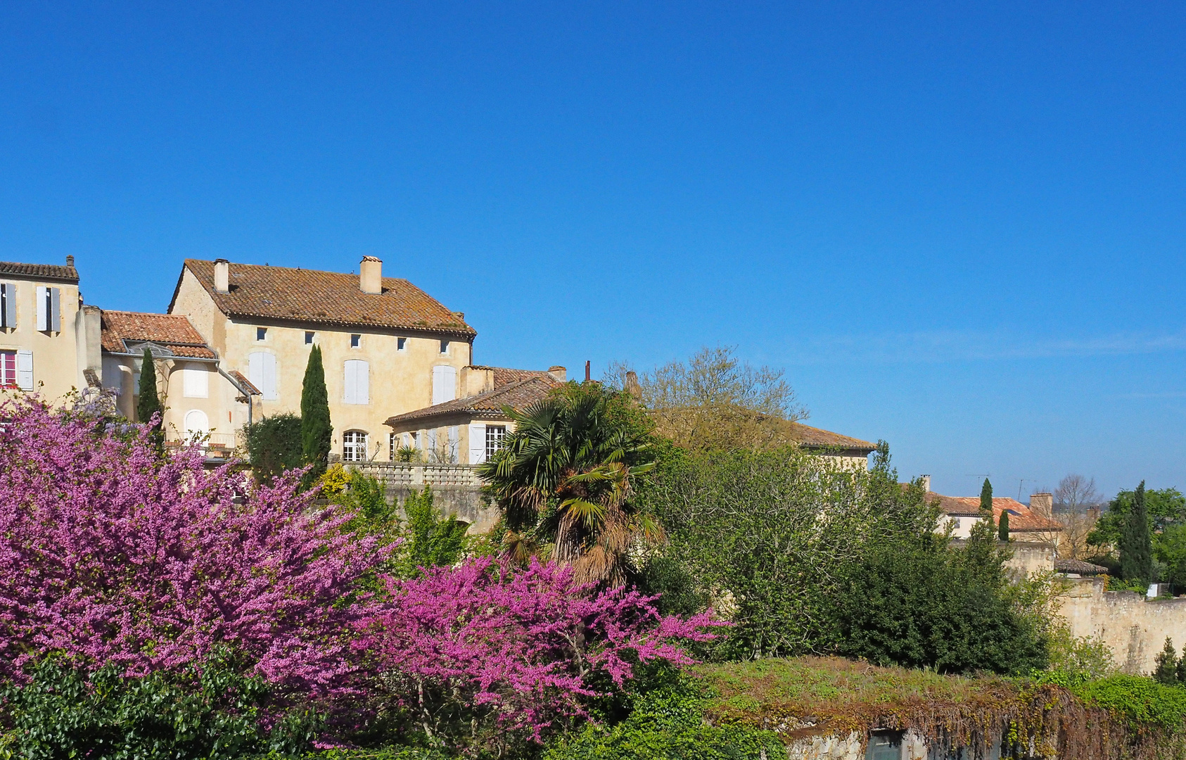 Maisons et jardins à Lectoure au printemps