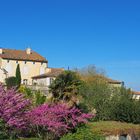 Maisons et jardins à Lectoure au printemps