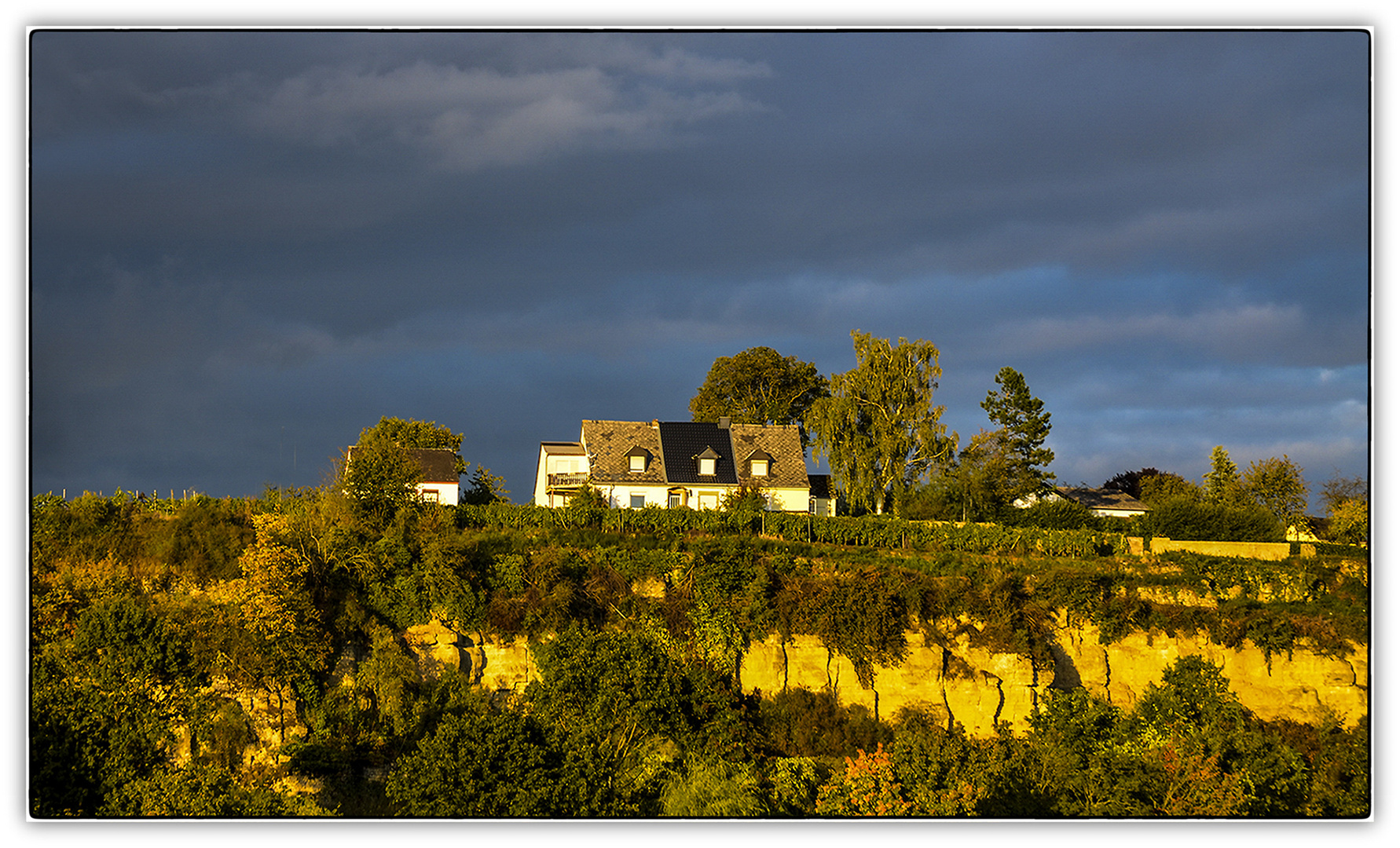 MAISONS PERCHEES 