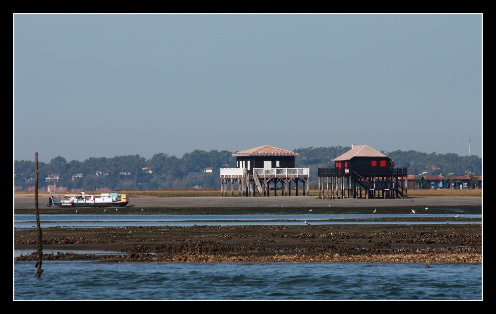 " Maisons sur l'ile aux oiseaux "