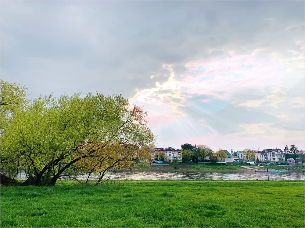 Maispaziergang an der Elbe