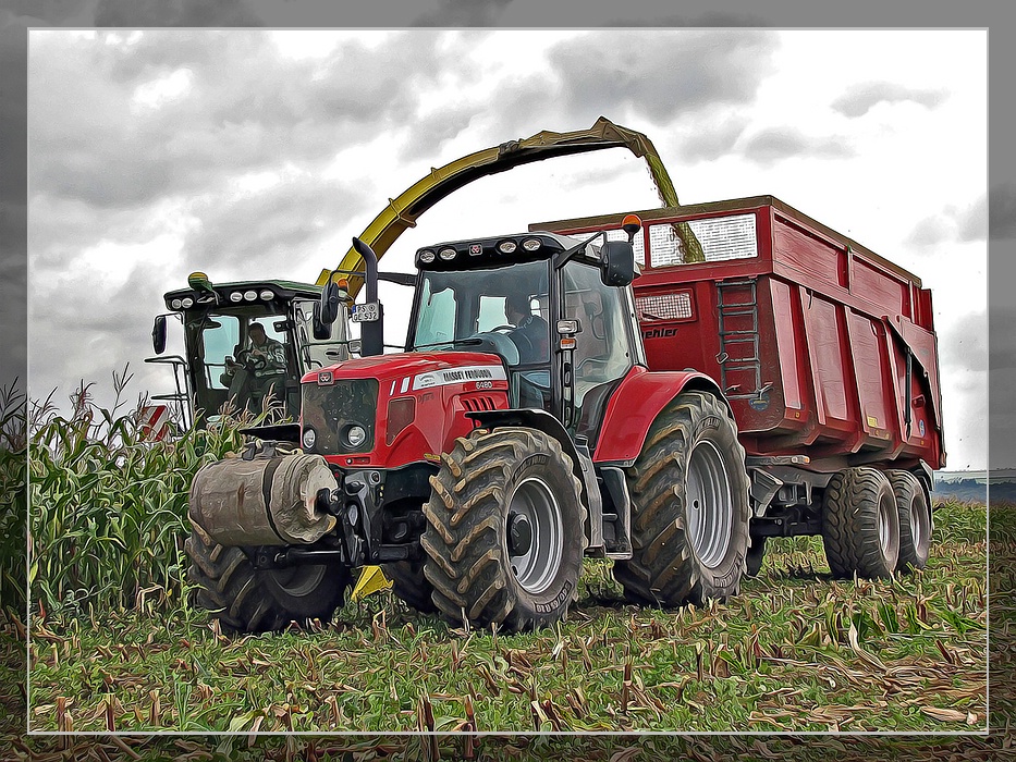 Maissilage bergen