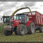 Maissilage bergen