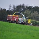 Maissilage einfahren