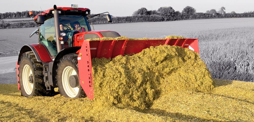 Maissilage im Münsterland