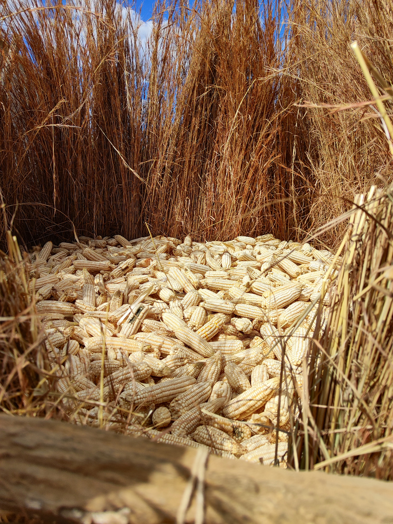 Maisspeicher In Zambia