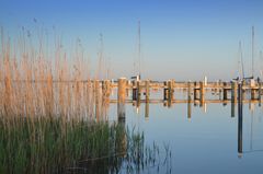 Maitag am Seglerhafen Vitte 