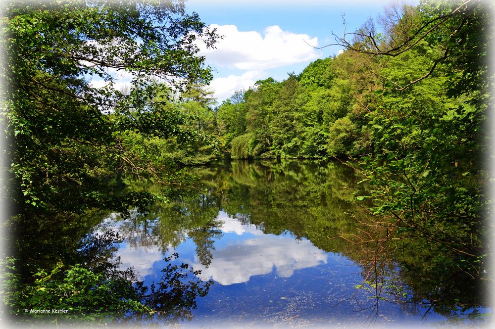 Maitag am Weiher