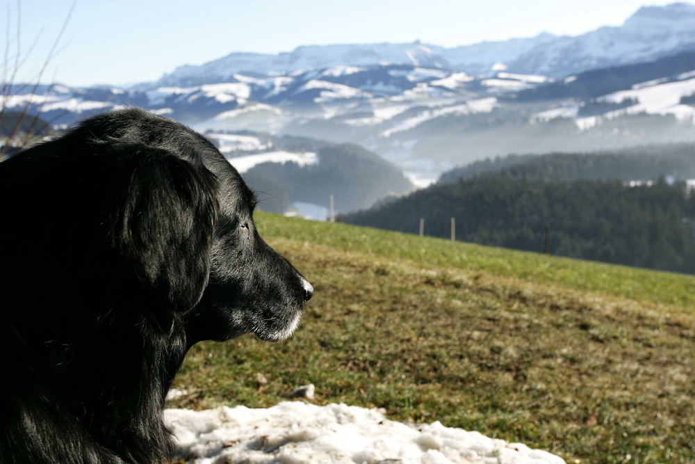 "Maito's" Blick ins Emmental