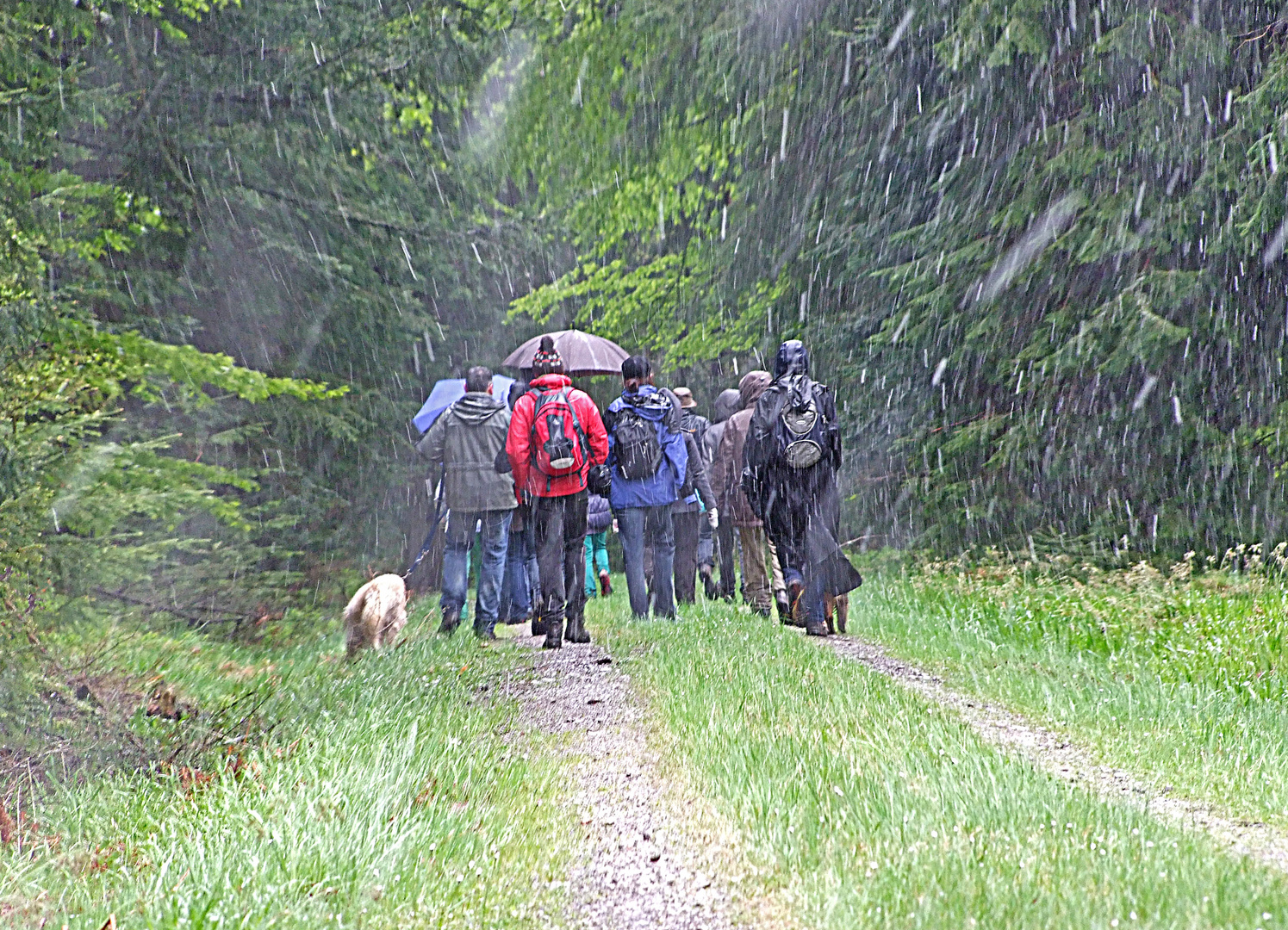 Maiwanderung bei Schneefall