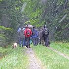 Maiwanderung bei Schneefall