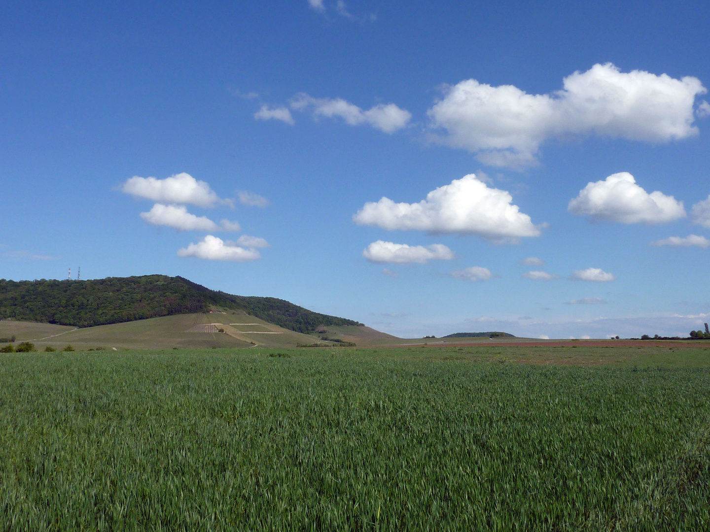 Maiwanderung im Steigerwald -2-