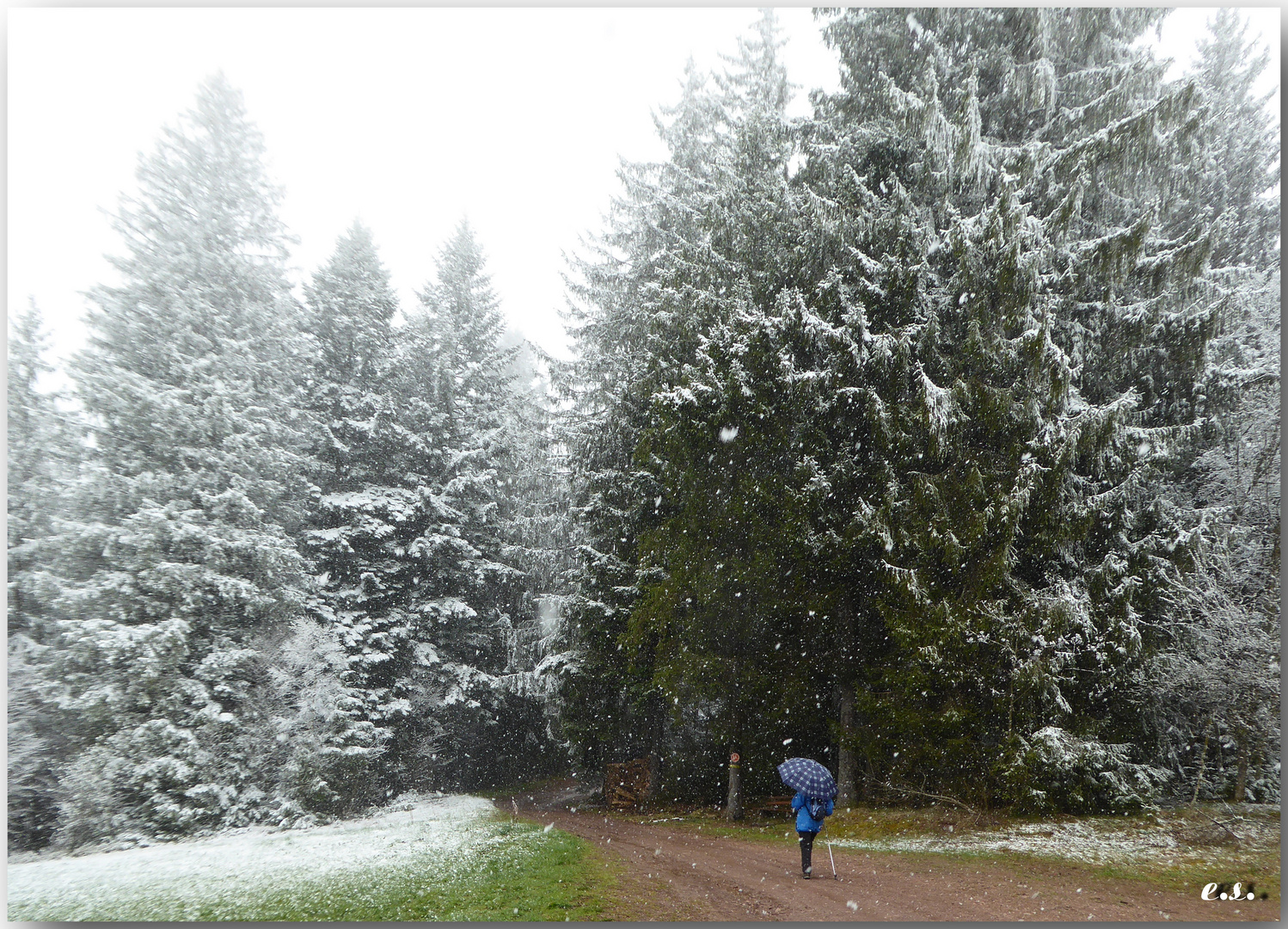   Maiwanderung in Neukirch.