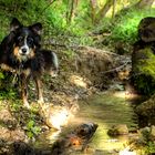 Maiwanderung zum Wasserfall