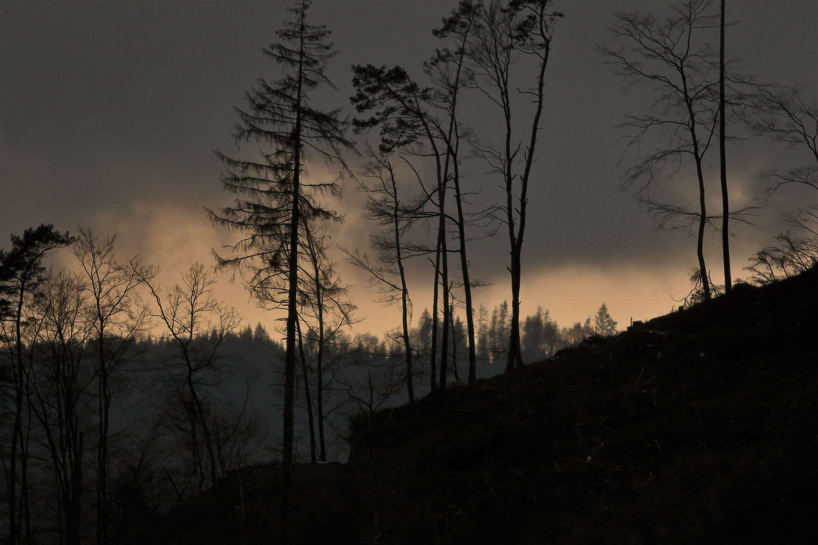 Maiwetter mit Regen und Gewitter