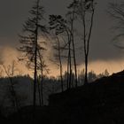 Maiwetter mit Regen und Gewitter