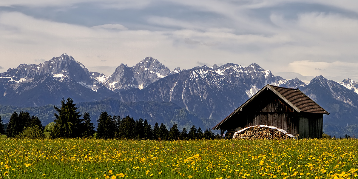 Maiwiese im Allgäu