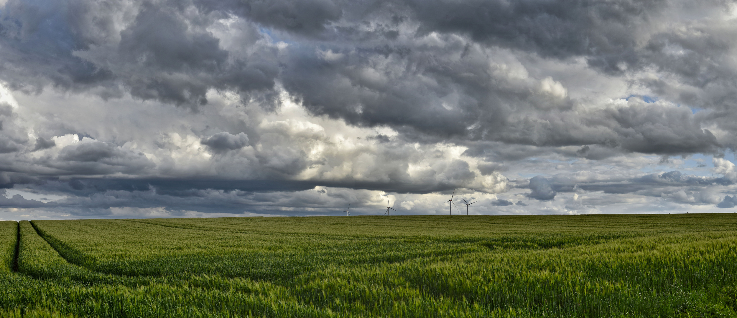 Maiwolken