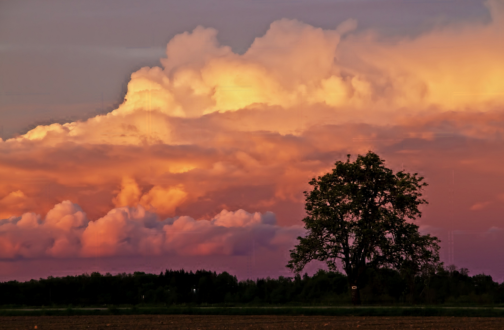 Maiwolken....