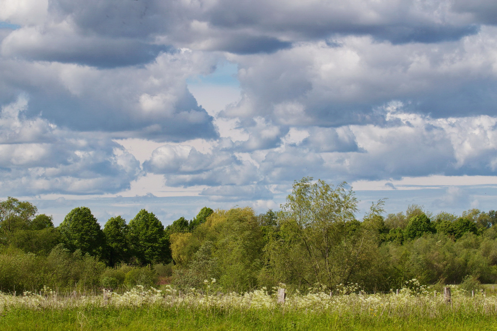 Maiwolken über den Lippeauen