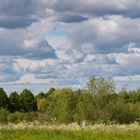 Maiwolken über den Lippeauen