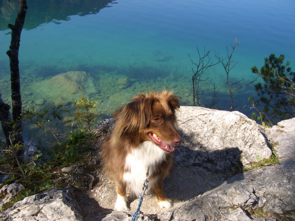 Maja am Eibsee