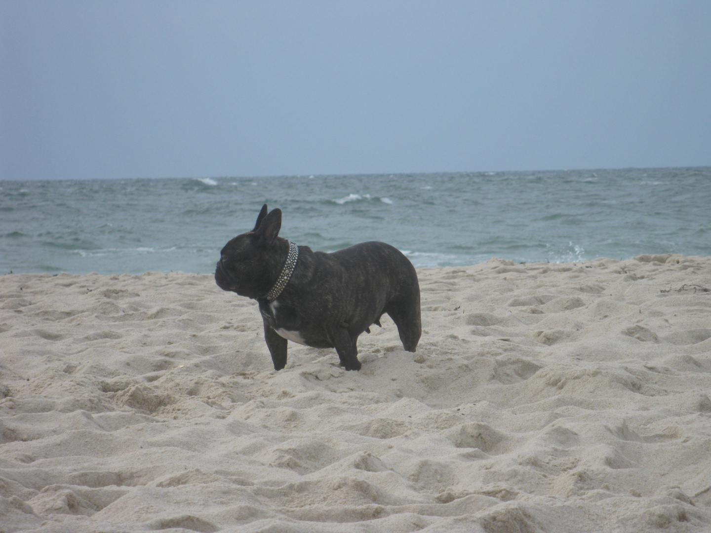 Maja am Strand von Wenningstedt