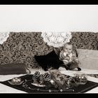 Maja