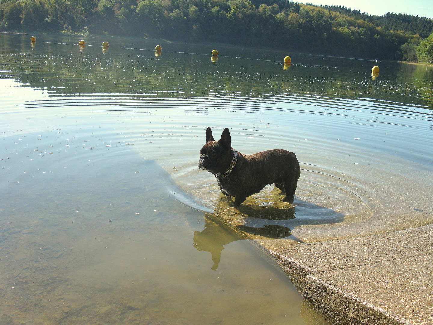 Maja im Wasser