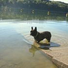 Maja im Wasser