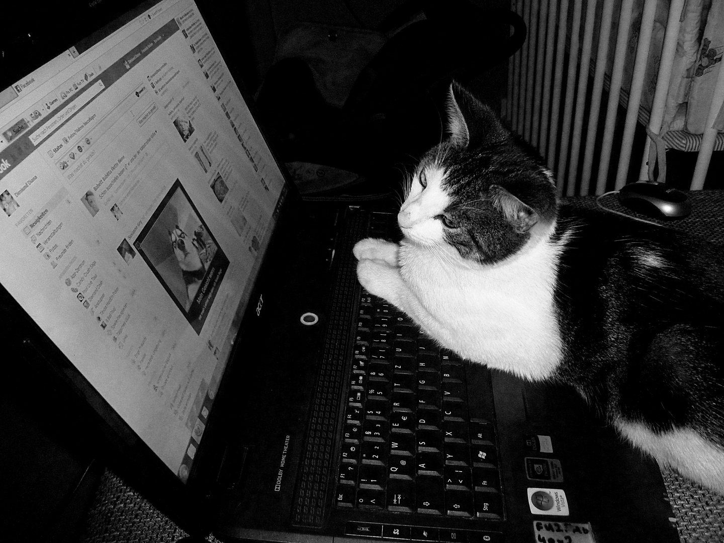 Maja spielt gern am Laptop