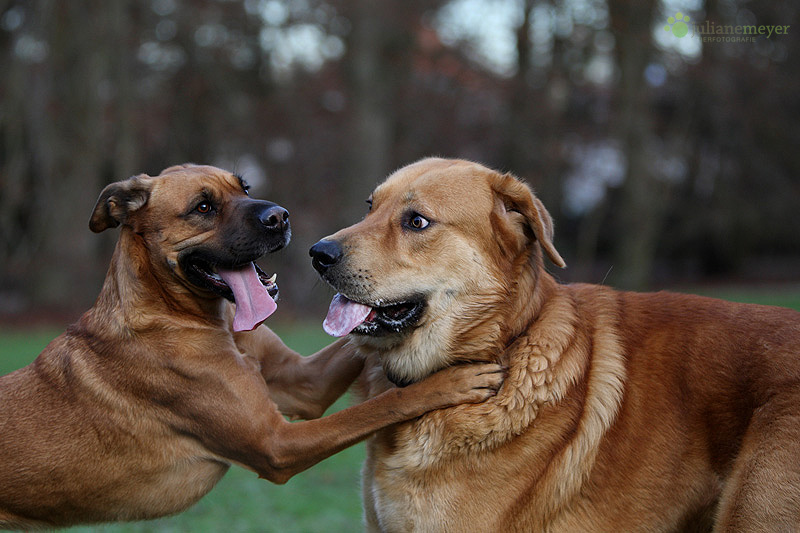 Maja und Don :-)