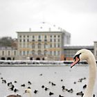 Majestät vor Schloss Nymphenburg