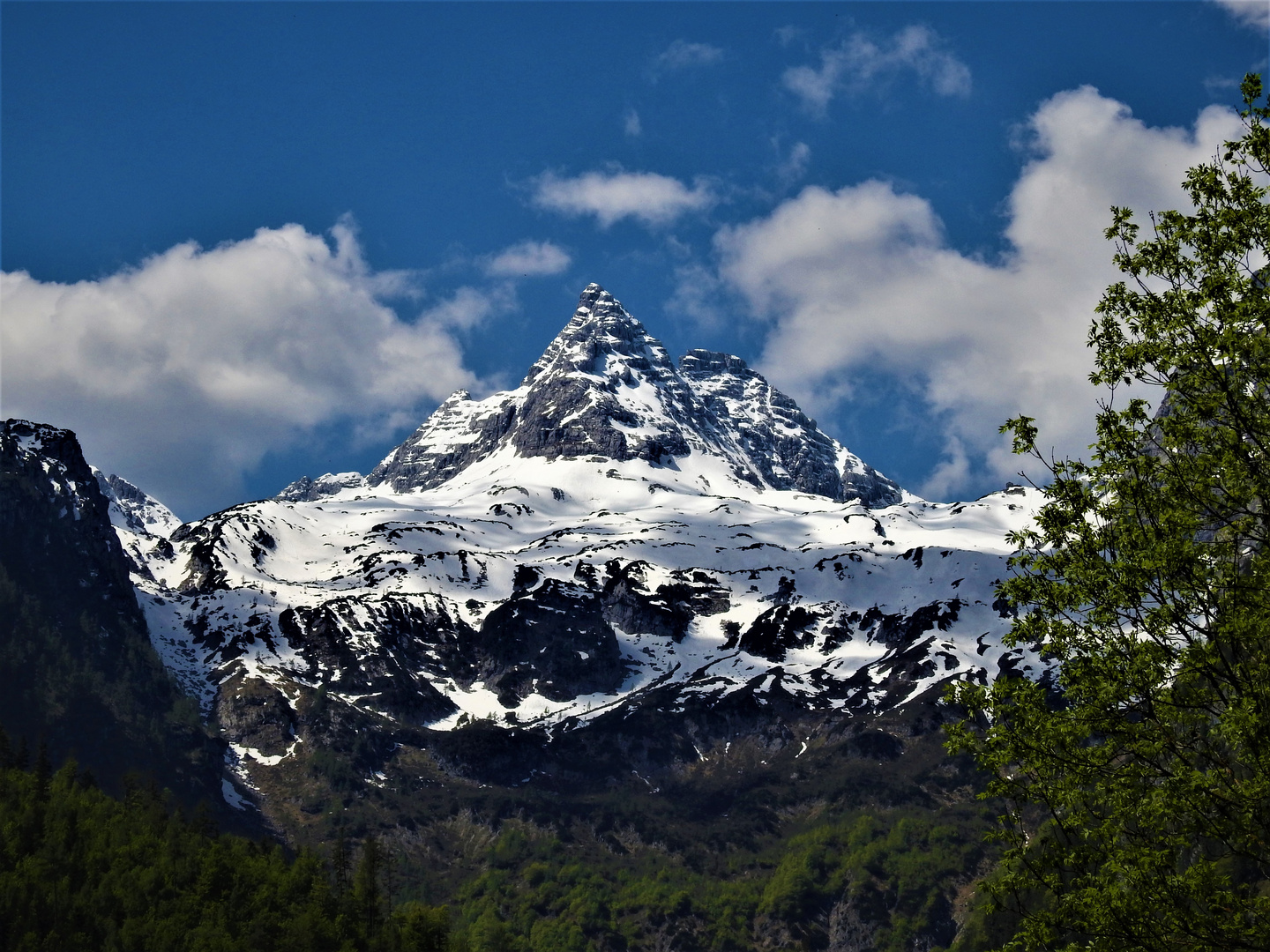 Majestätisch