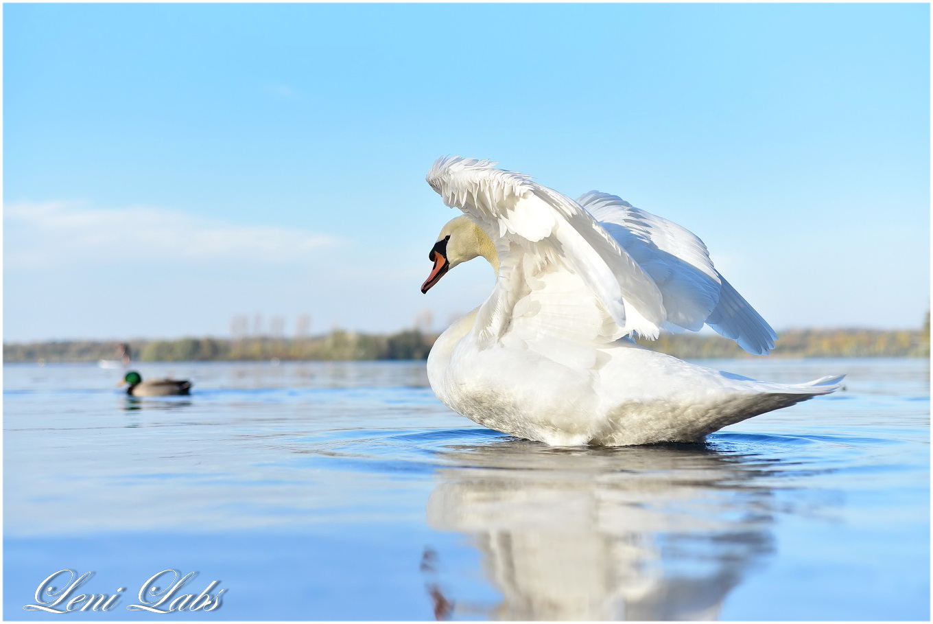 majestätisch *** Foto & Bild naturkreativ, natur Bilder auf