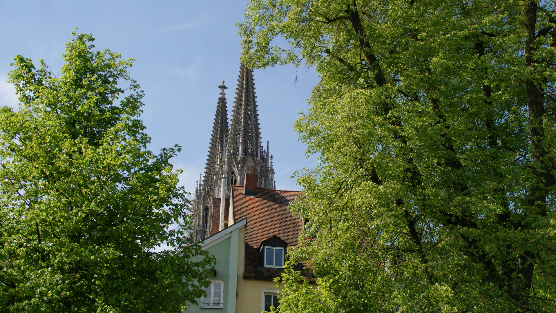 Majestätisch über den Dächern Regensburg