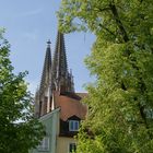 Majestätisch über den Dächern Regensburg