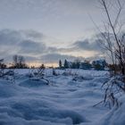 Majestätischer Winter!