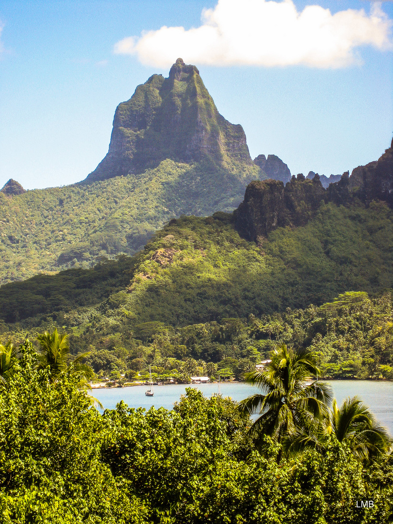 Majestetisches Moorea